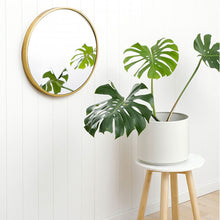 Load image into Gallery viewer, Brass Round Wall Mirror